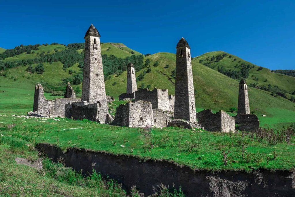 Echoes of the Wild: Wildlife Encounters in High Places