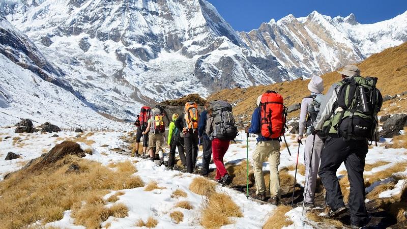 The Silent Language of Mountains: Finding Peace in Nature's Heights